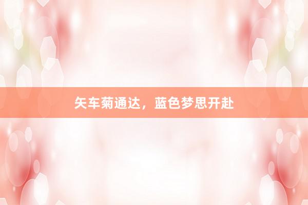 矢车菊通达，蓝色梦思开赴