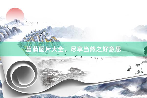 菖蒲图片大全，尽享当然之好意思