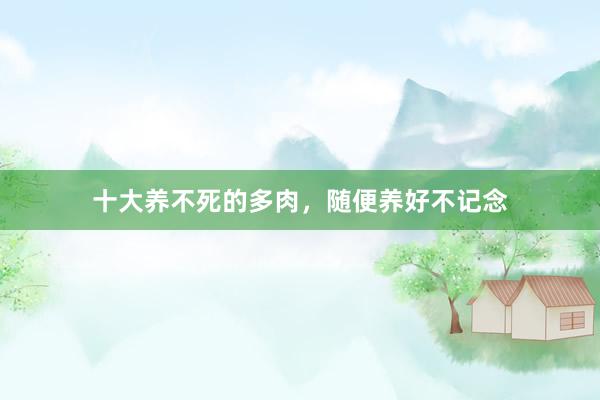 十大养不死的多肉，随便养好不记念