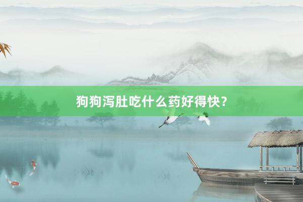 狗狗泻肚吃什么药好得快？